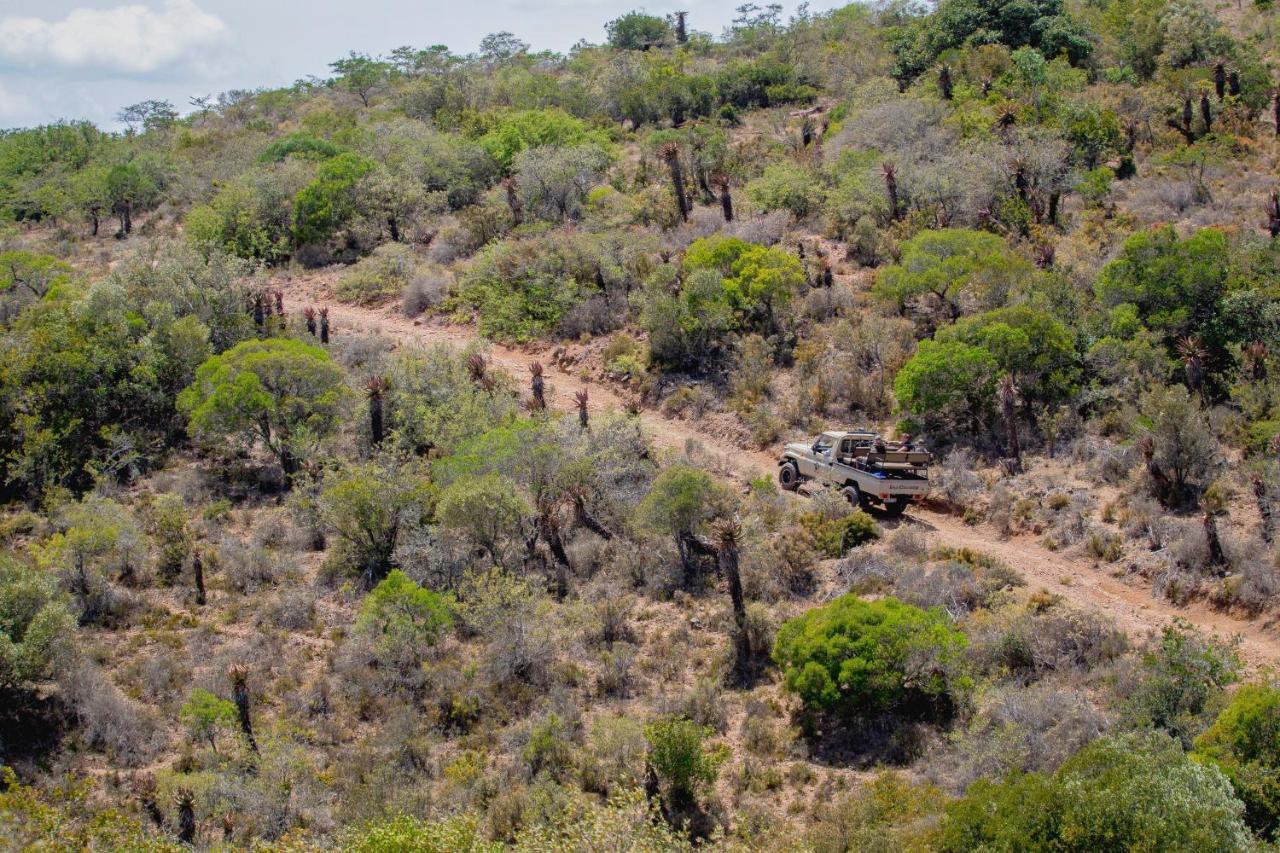 African Safari Lodge Grahamstown Kültér fotó